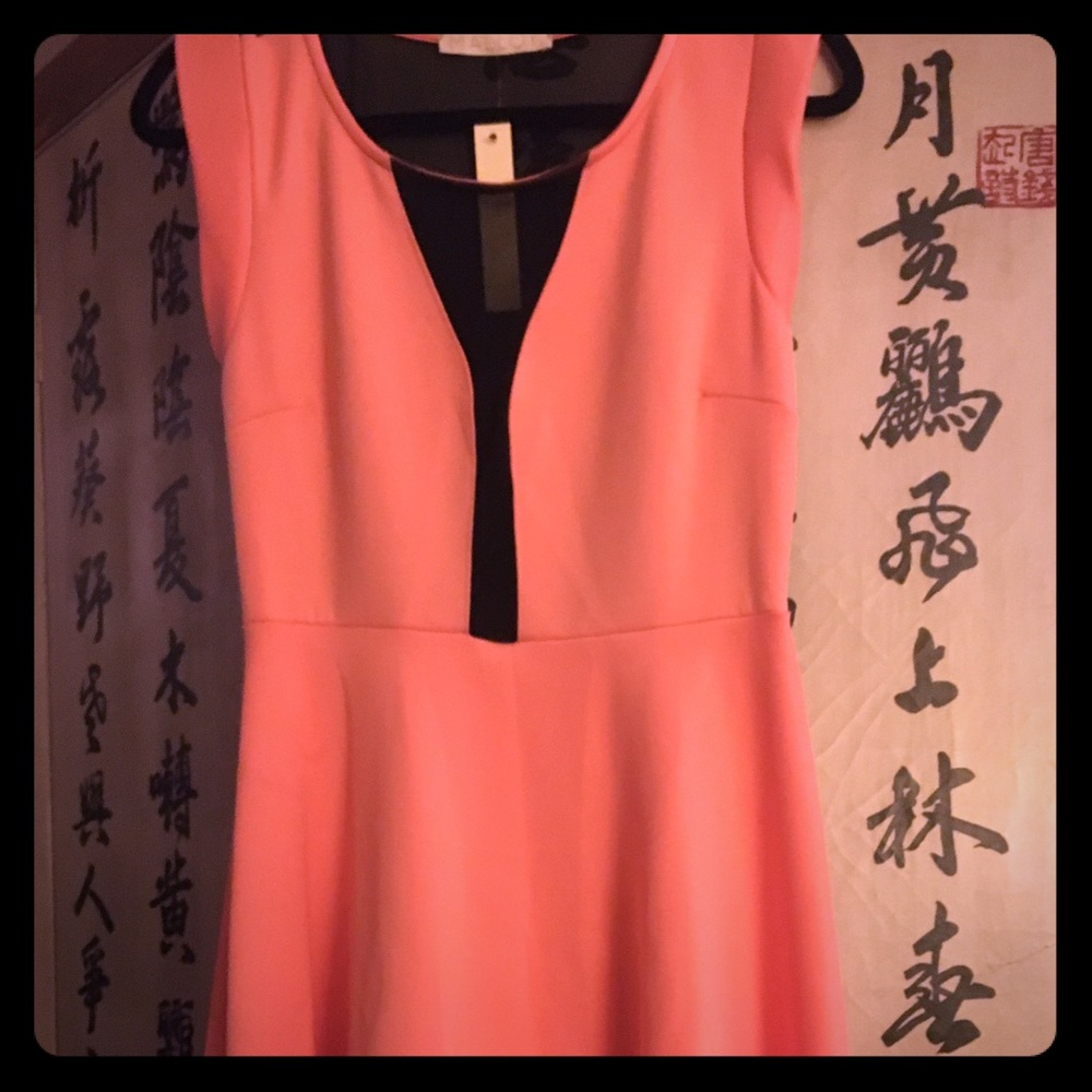 PEACH Mesh Mini Dress